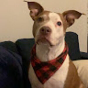 Meet your Posher, Sir nathan james